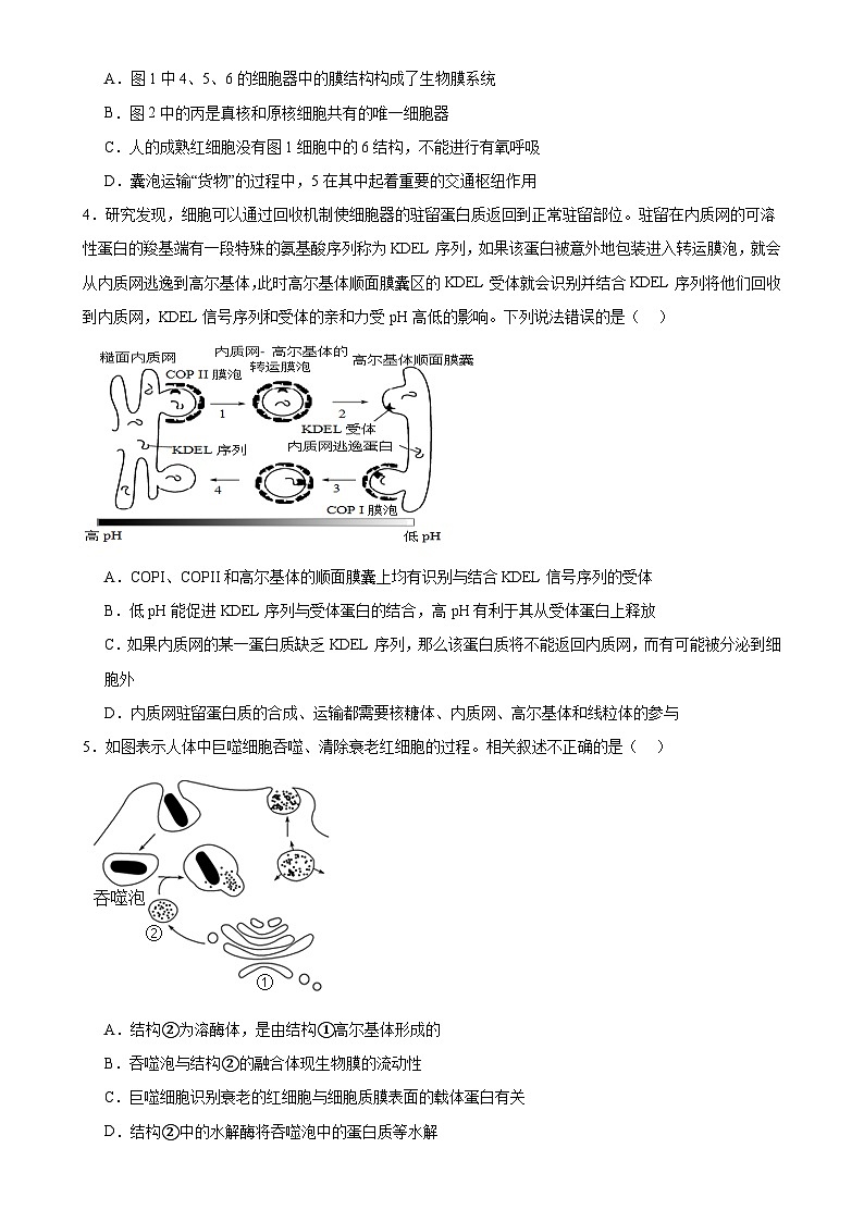 福建省莆田市荔城区莆田第八中学高一上学期12月月考生物试题-A4第2页