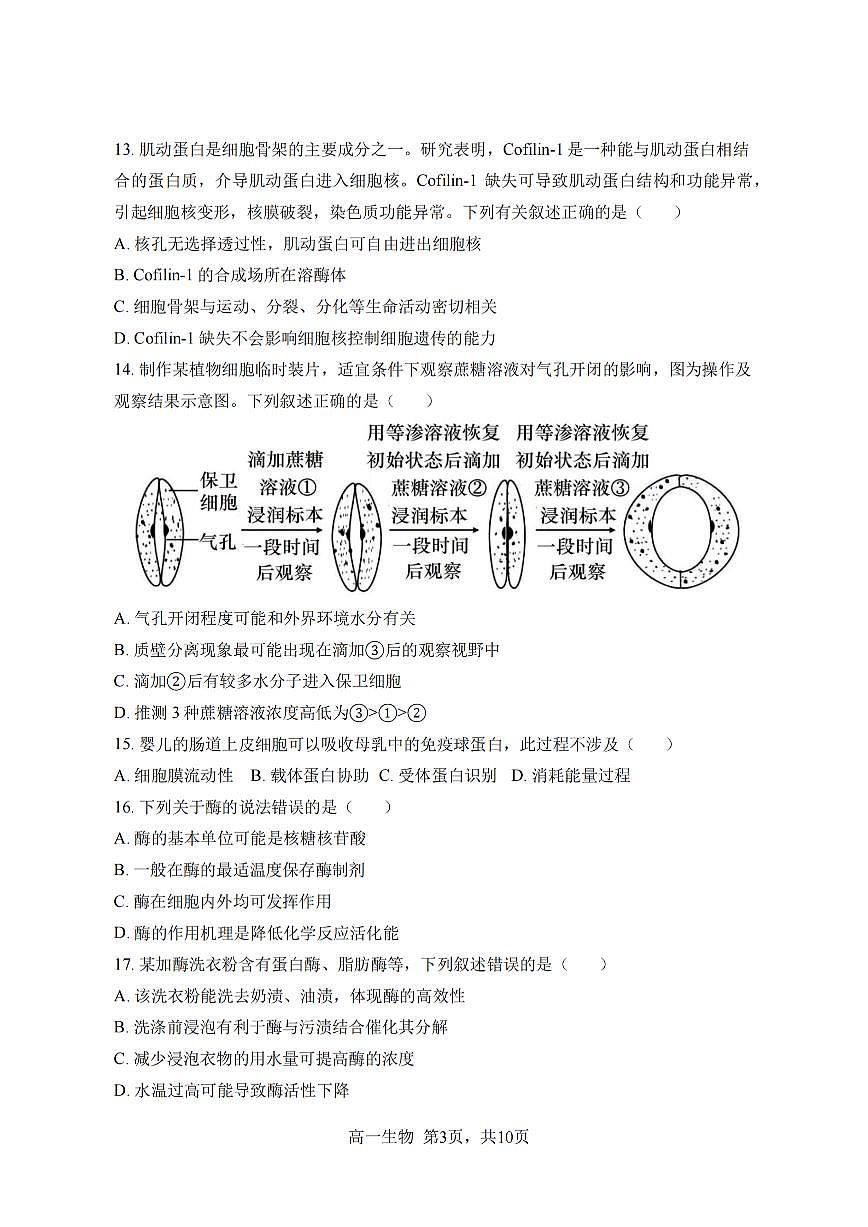 哈三中2025-2026学年度上学期高一学年期末生物试卷和答案第3页