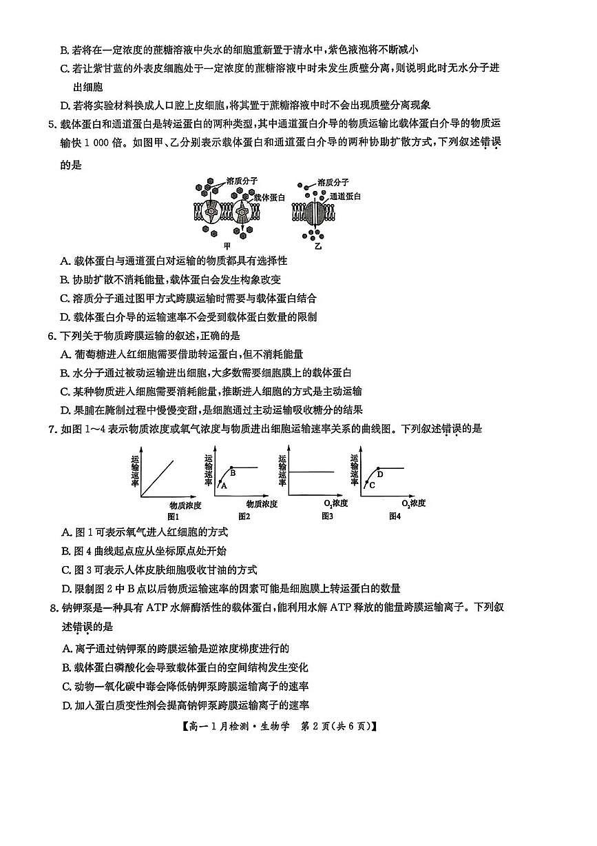 河南省洛阳市强基联盟2025-2026学年高一上学期1月月考生物试题含答案第2页