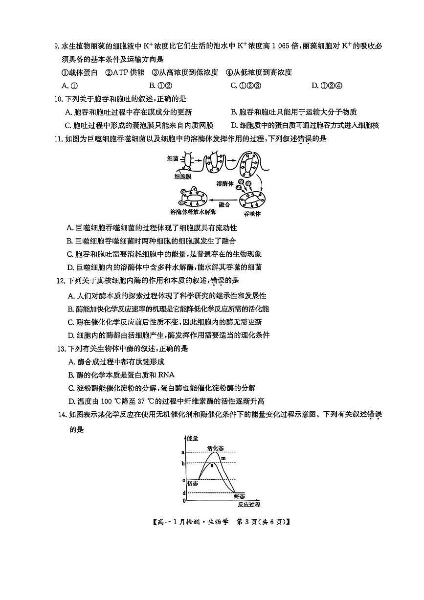 河南省洛阳市强基联盟2025-2026学年高一上学期1月月考生物试题含答案第3页
