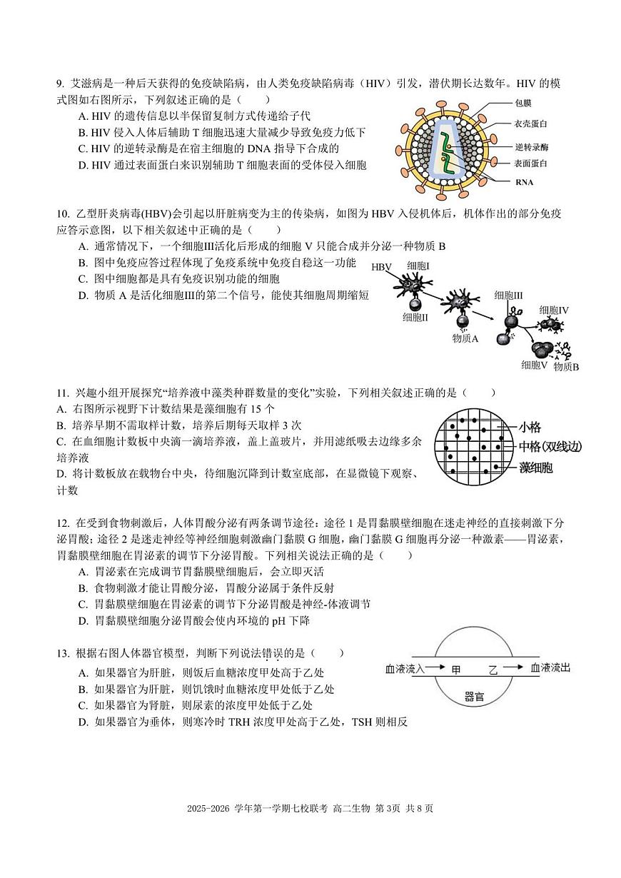 广东省东莞市七校2025-2026学年高二上学期期中联考试题生物试卷（含答案）第3页