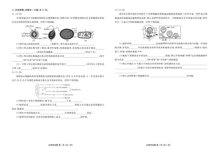 衡水金卷2025-2026学年度高一年级上学期12月份联考生物试卷（含答案）第3页