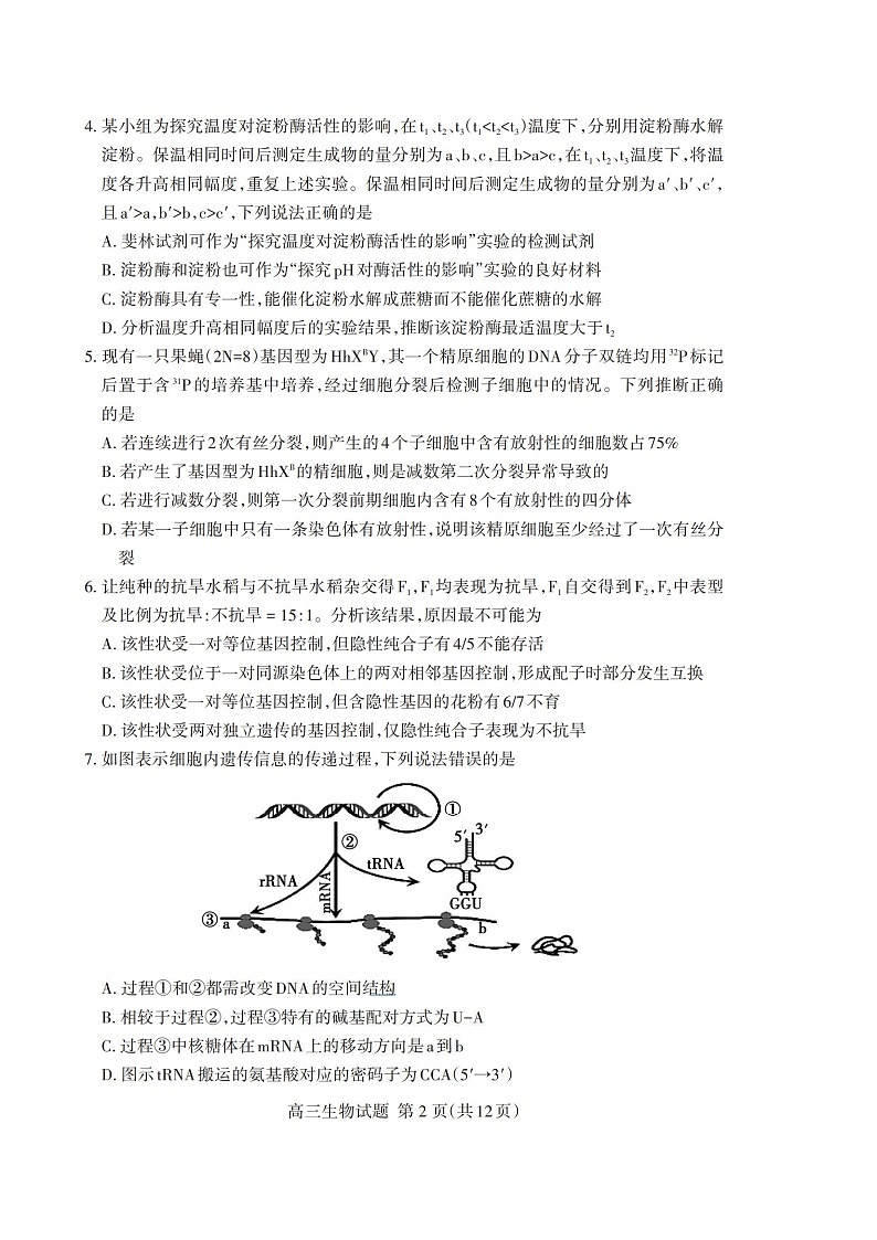山东省泰安市2026年1月高三期末考试生物试卷第2页