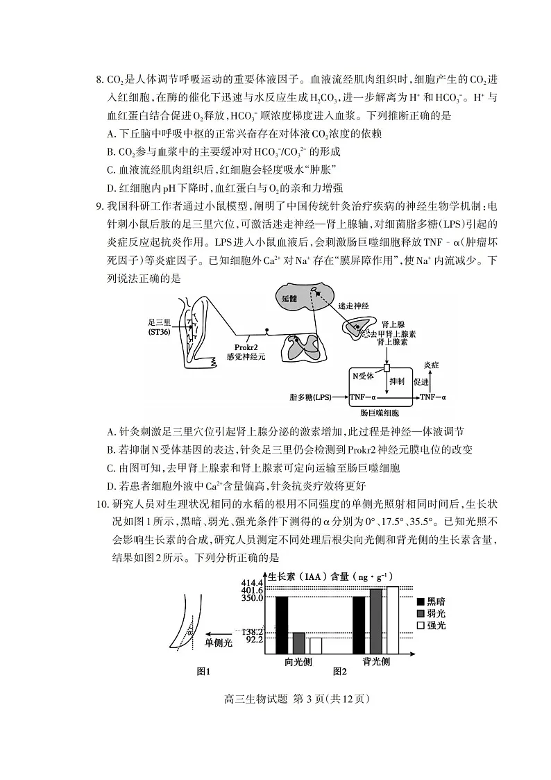 山东省泰安市2026年1月高三期末考试生物试卷第3页