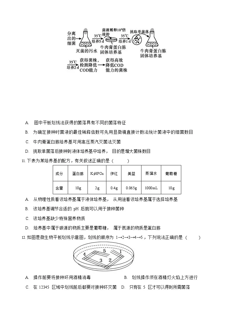 四川省仁寿第一中学校南校区2025-2026学年高二上学期12月月考生物试题第3页