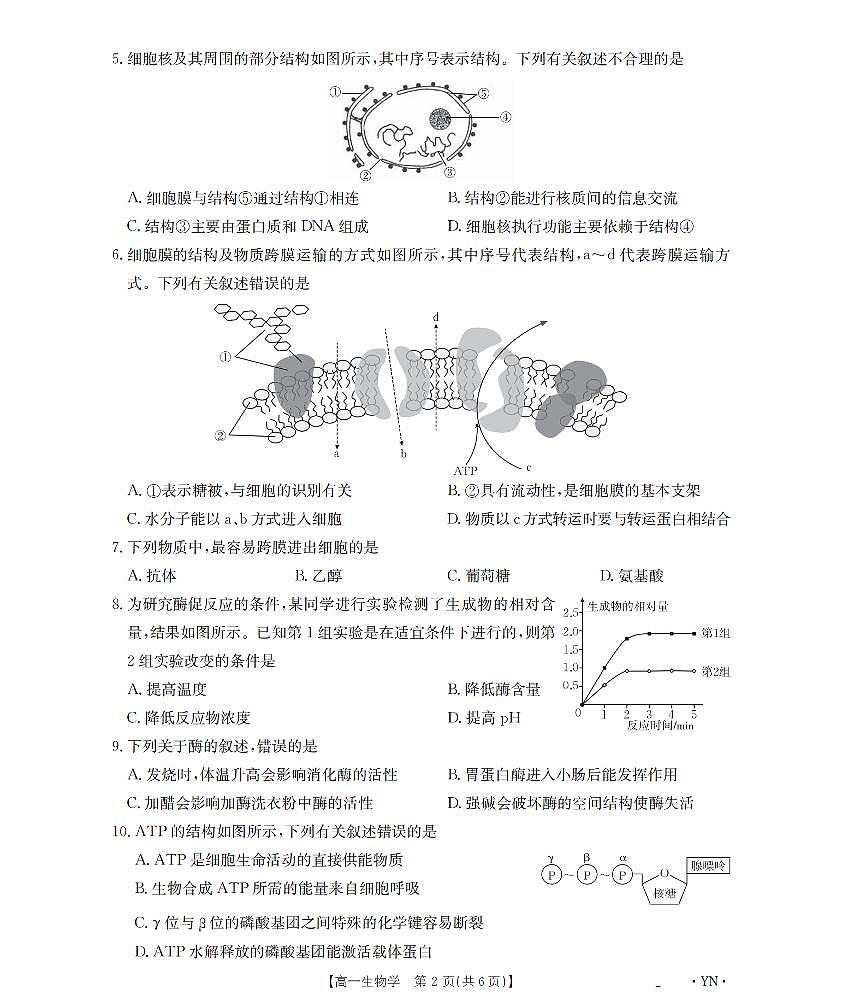 金太阳云南省2028届高一上学期12月联考（26-002A）生物试卷（含答案）第2页