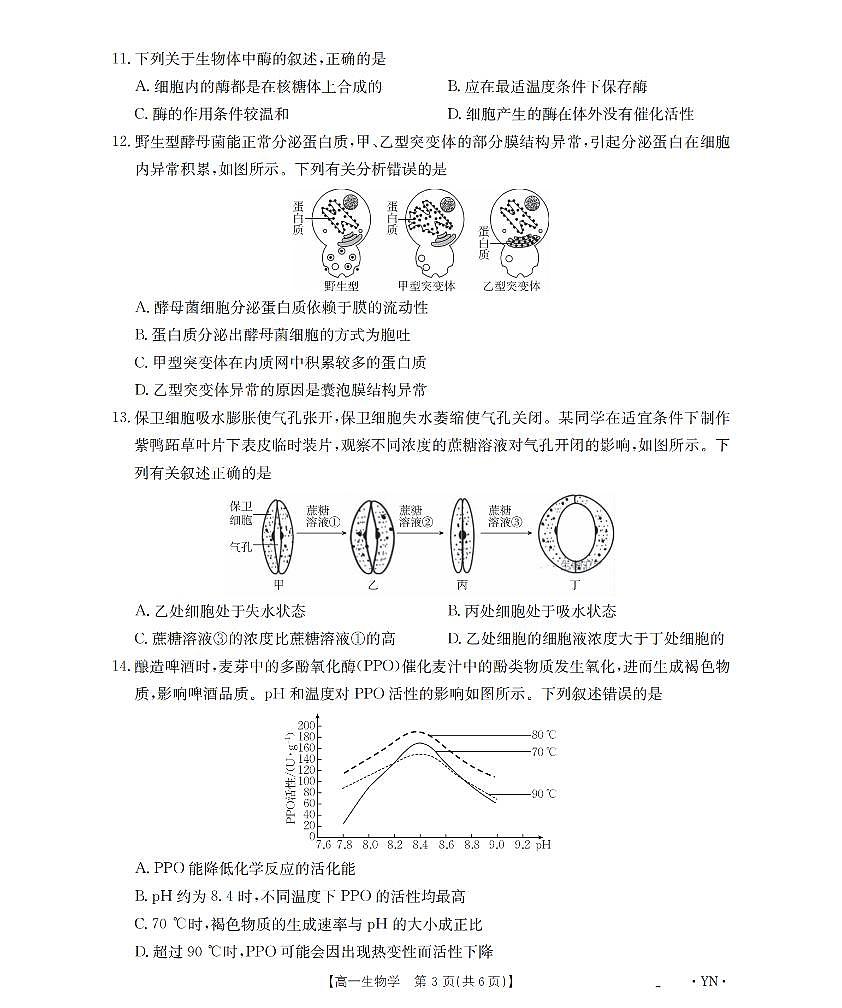 金太阳云南省2028届高一上学期12月联考（26-002A）生物试卷（含答案）第3页