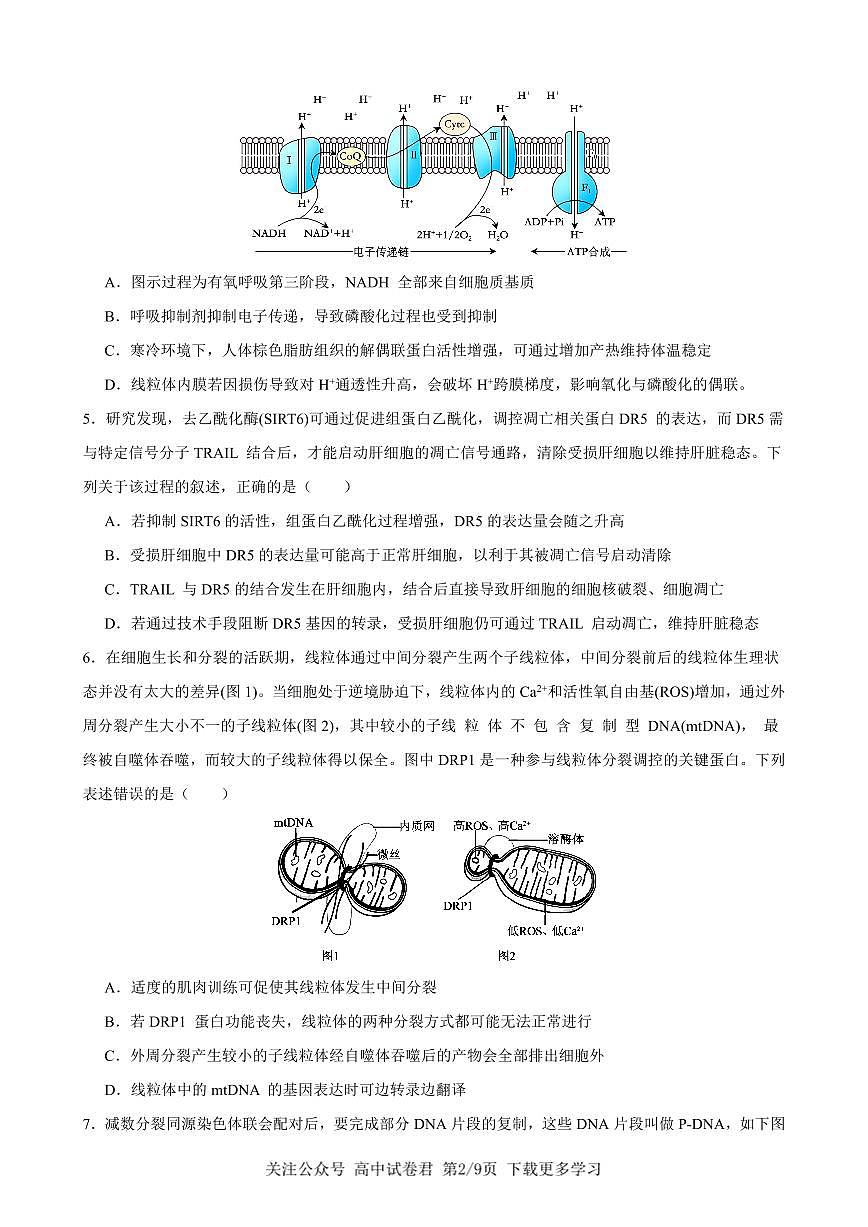 生物2026届高三高考模拟调研（一）试卷第2页