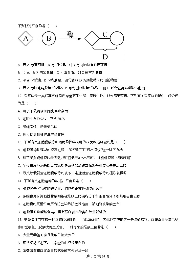 重庆市重庆市渝中区重庆市巴蜀中学校2025-2026学年高一上学期12月期中生物试题  Word版无答案第3页