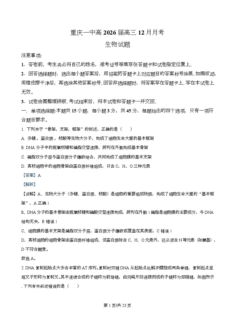 重庆市沙坪坝区重庆市第一中学校2025-2026学年高三上学期12月月考生物试题 Word版含解析第1页