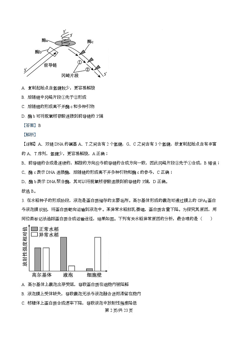 重庆市沙坪坝区重庆市第一中学校2025-2026学年高三上学期12月月考生物试题 Word版含解析第2页