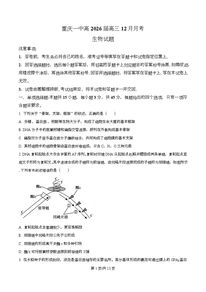 重庆市沙坪坝区重庆市第一中学校2025-2026学年高三上学期12月月考生物试题 Word版无答案第1页