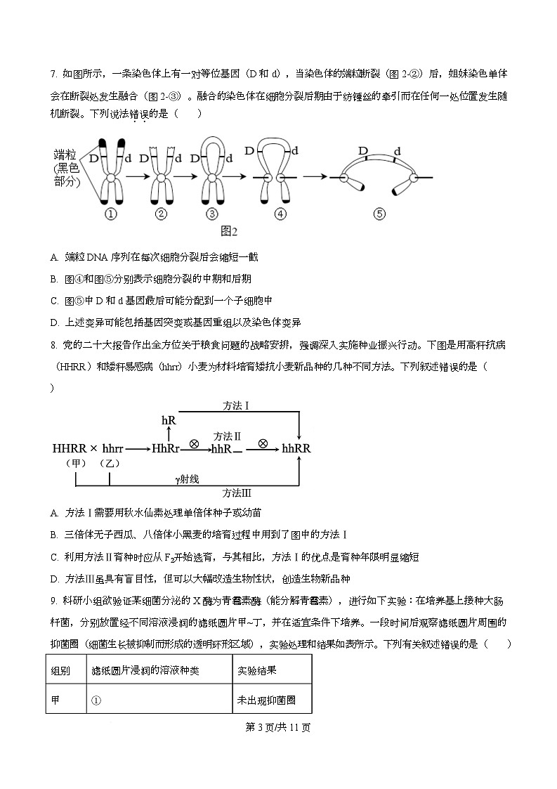 重庆市石柱中学校2025-2026学年高二上学期第一次月考生物试题  Word版无答案第3页
