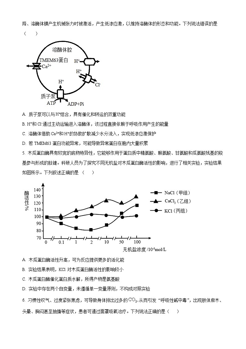 重庆市大足中学、合川中学等七校联盟2025-2026学年高三上学期12月月考生物试题  Word版无答案第2页