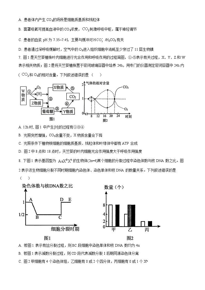 重庆市大足中学、合川中学等七校联盟2025-2026学年高三上学期12月月考生物试题  Word版无答案第3页