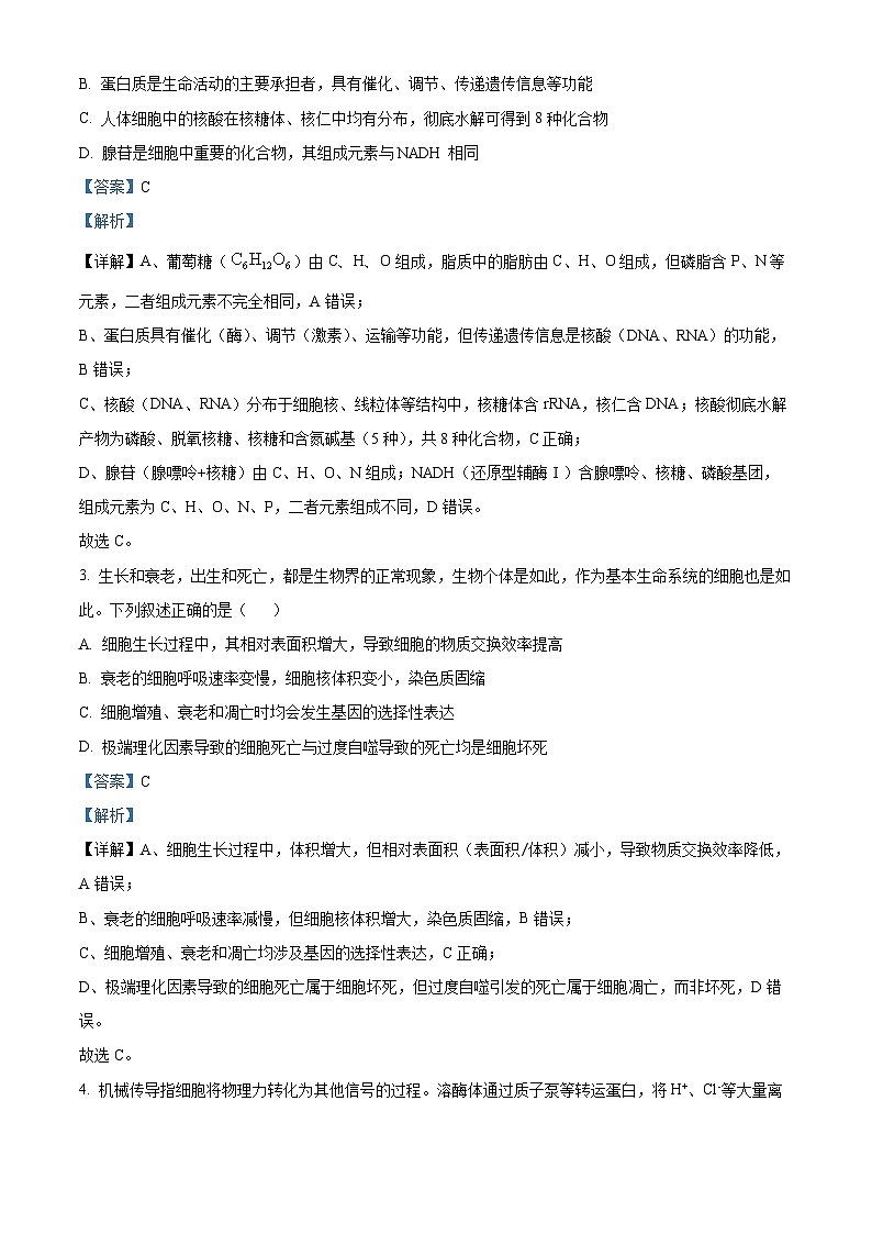重庆市大足中学、合川中学等七校联盟2025-2026学年高三上学期12月月考生物试题  Word版含解析第2页