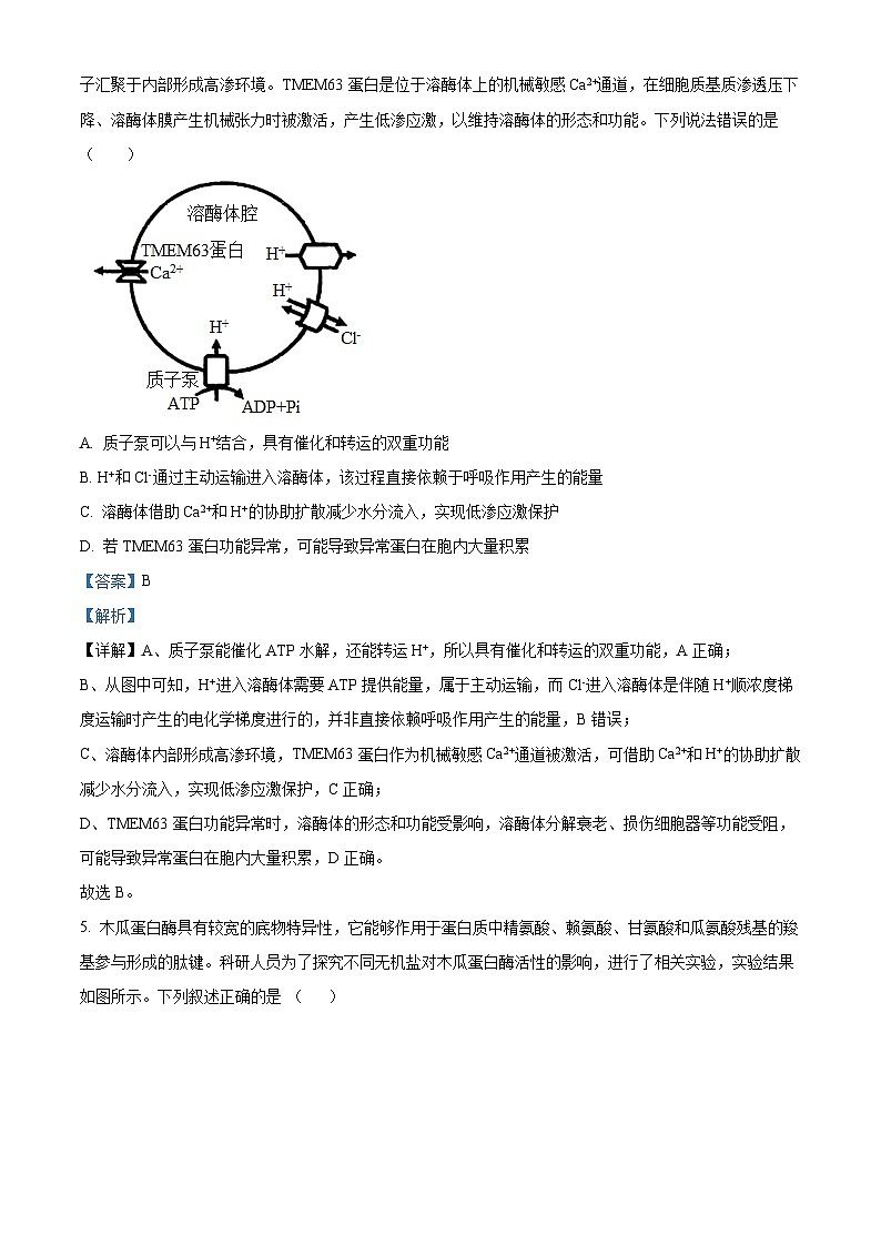 重庆市大足中学、合川中学等七校联盟2025-2026学年高三上学期12月月考生物试题  Word版含解析第3页