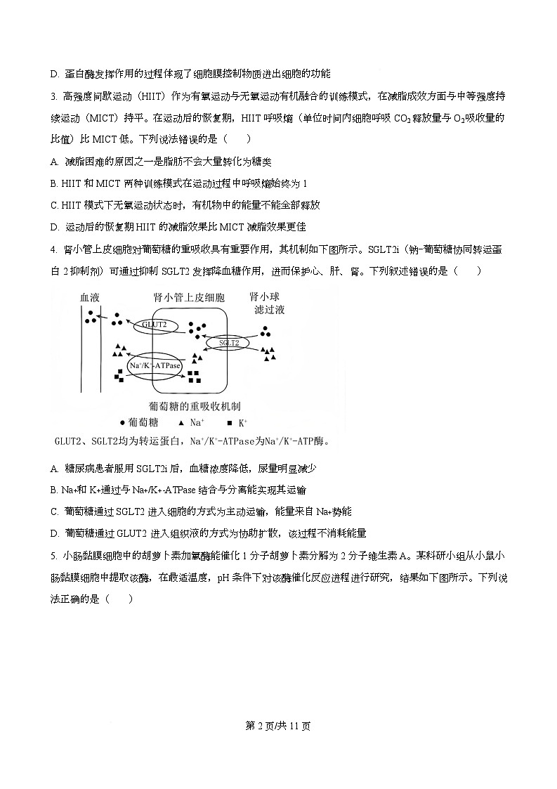 重庆市九龙坡区四川外国语大学附属外国语学校2025-2026学年高三上学期12月月考生物试题  Word版无答案第2页