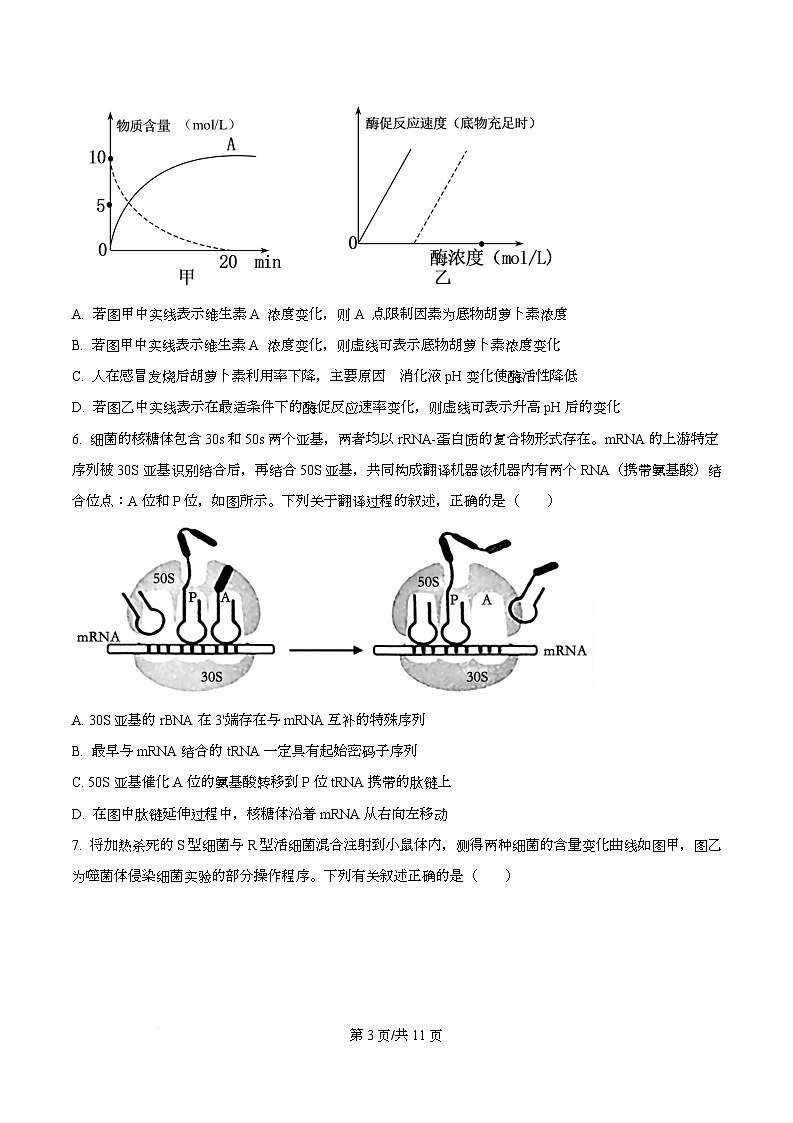 重庆市九龙坡区四川外国语大学附属外国语学校2025-2026学年高三上学期12月月考生物试题  Word版无答案第3页