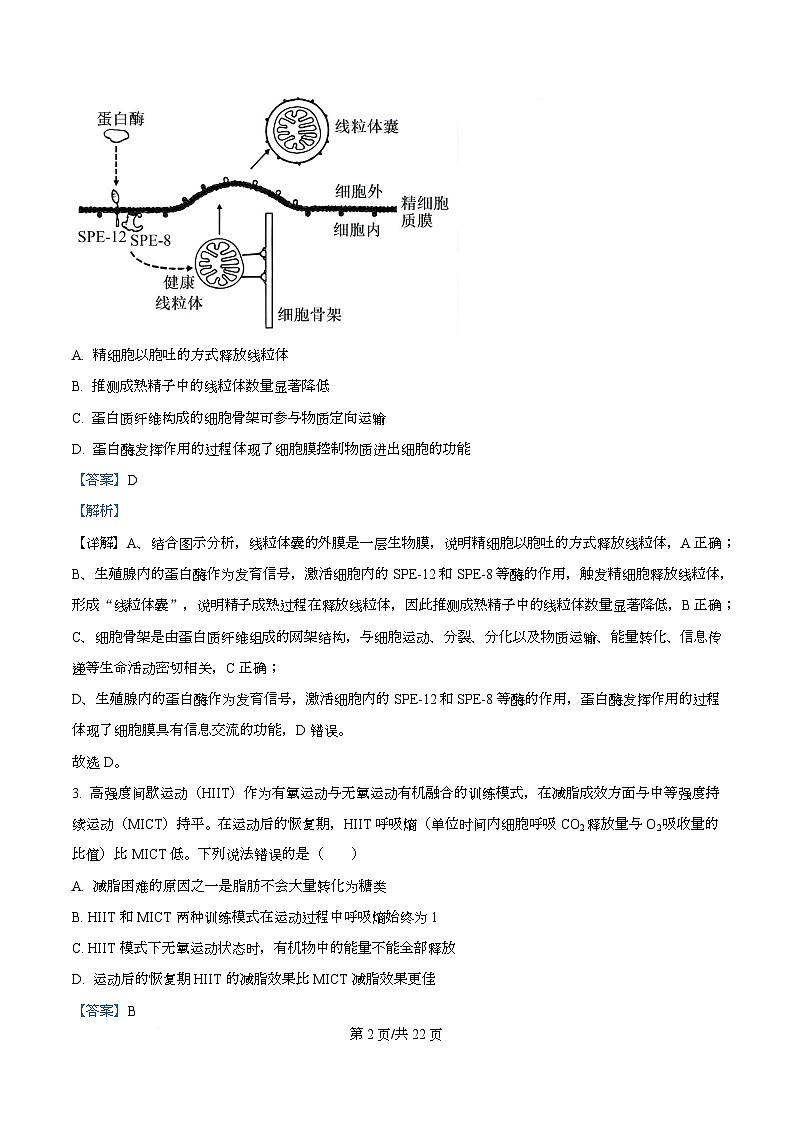 重庆市九龙坡区四川外国语大学附属外国语学校2025-2026学年高三上学期12月月考生物试题  Word版含解析第2页