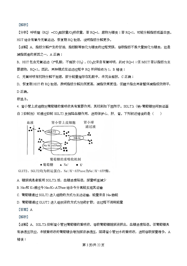 重庆市九龙坡区四川外国语大学附属外国语学校2025-2026学年高三上学期12月月考生物试题  Word版含解析第3页
