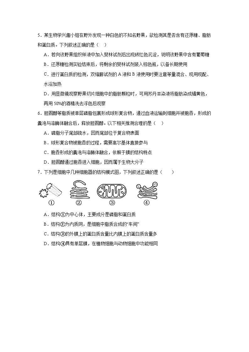 湖南省岳阳市汨罗市第二中学2025-2026学年高一上学期12月月考生物试题（含答案）第2页
