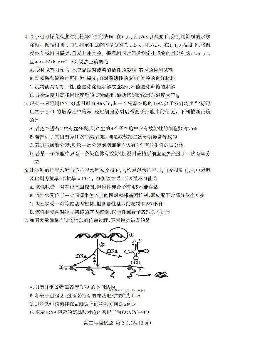 2025——2026 学年泰安市高三年级上学期生物期末考试试题及答案第2页