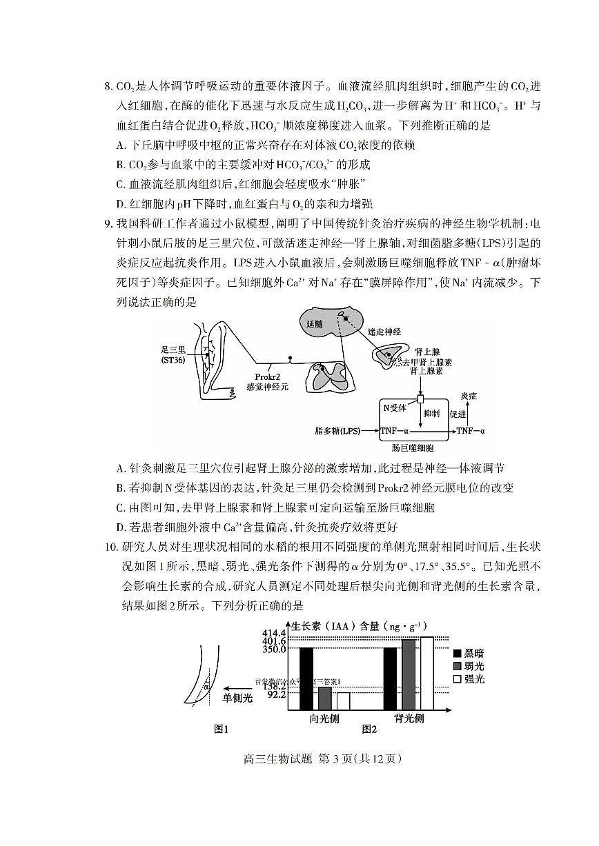 2025——2026 学年泰安市高三年级上学期生物期末考试试题及答案第3页