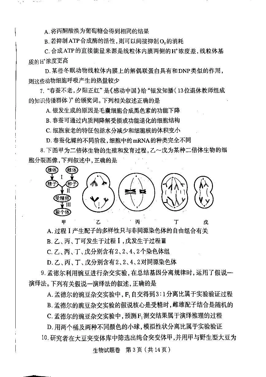 生物第3页