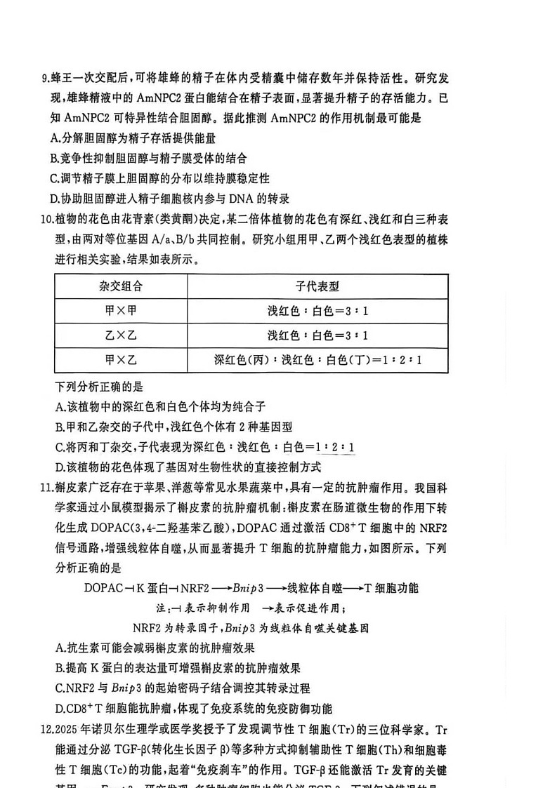 湖北省黄冈市2025-2026学年高三上学期1月期末生物试题第3页