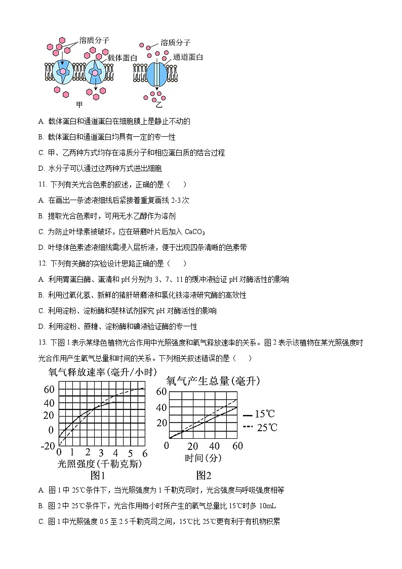 福建省福州市第一中学高一上学期期末考试生物试题（原卷版）-A4第3页