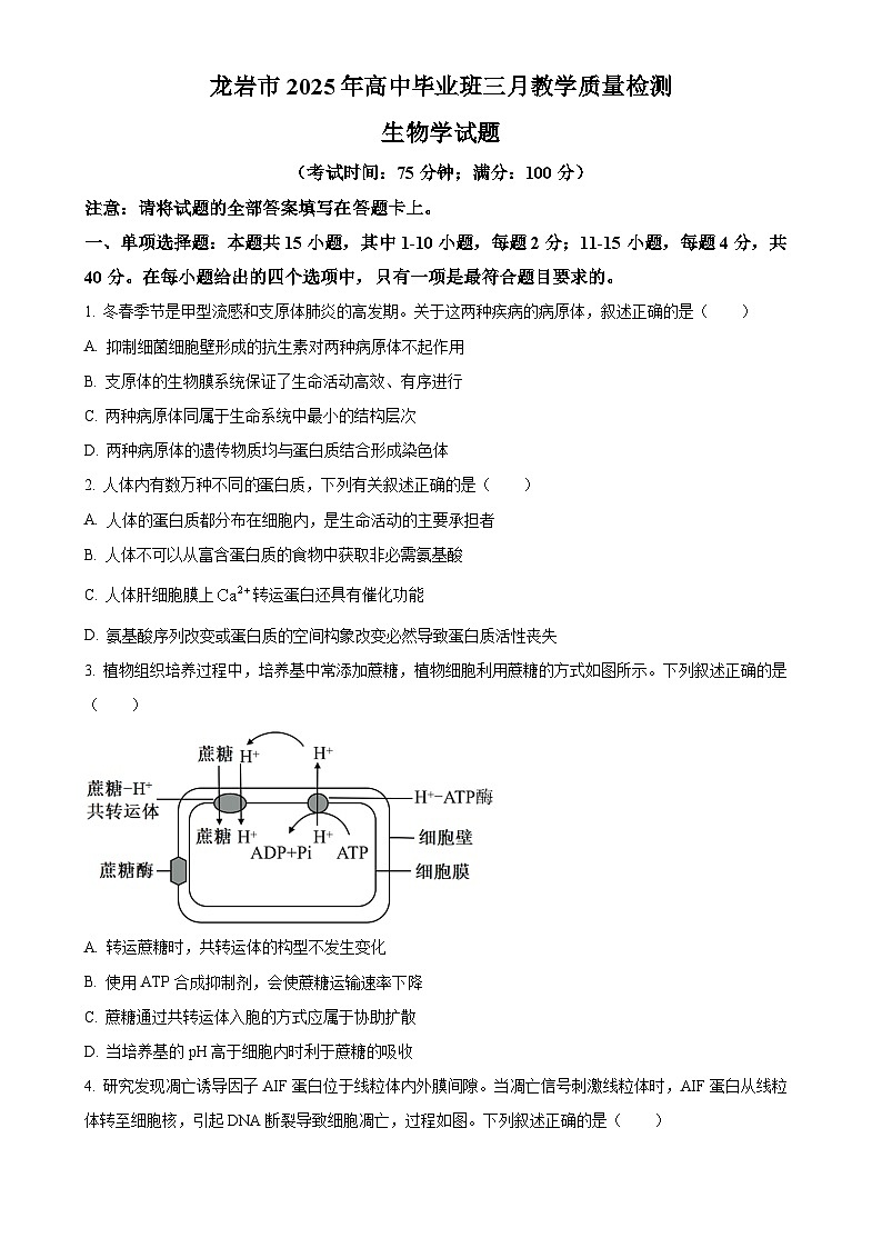 2025届福建省龙岩市高三下学期高中毕业班3月教学质量检测生物试题（原卷版）-A4第1页