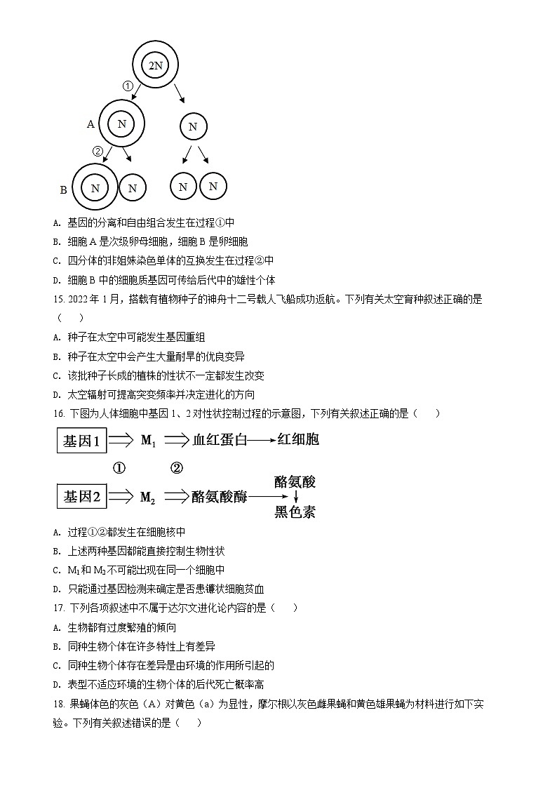 福建省泉州市2021-2022学年高一下学期期末教学质量监测生物试题（原卷版）-A4第3页