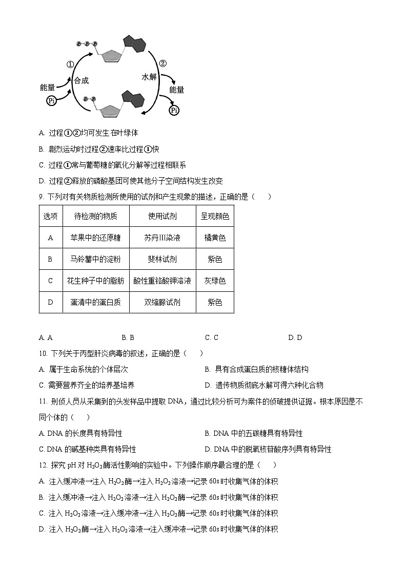 福建省泉州市高一上学期期末质量监测生物试题（原卷版）-A4第2页