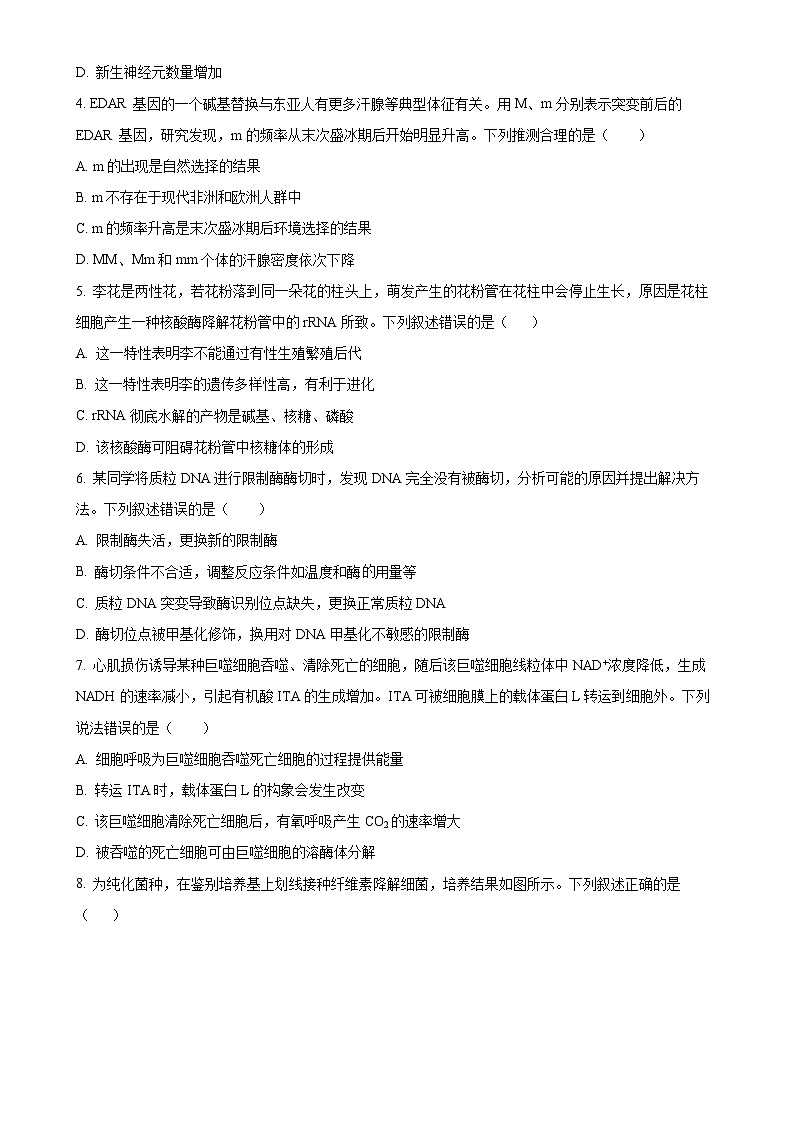 福建省厦门外国语学校高三上学期11月阶段考试生物试题（原卷版）-A4第2页