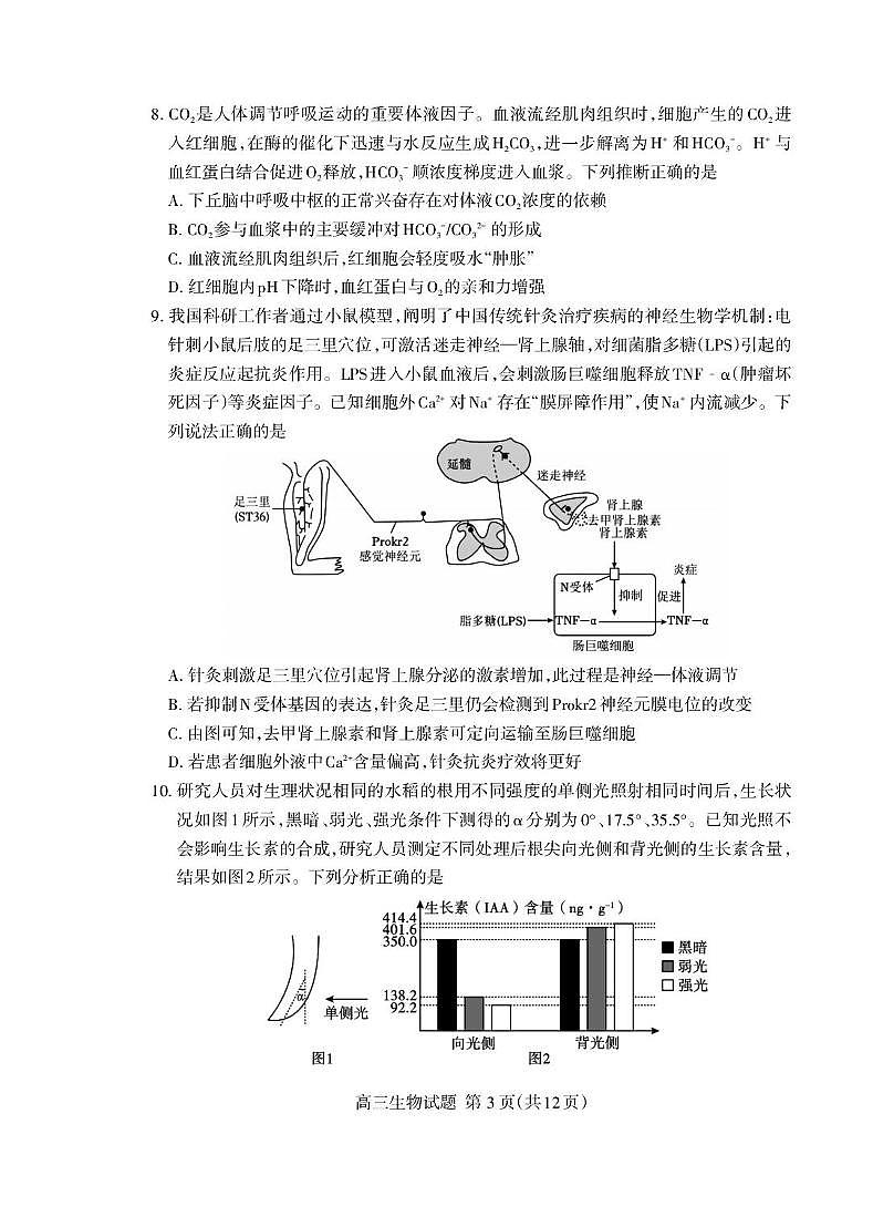 2026届山东省泰安市高三上学期1月期末考试生物试题A第3页