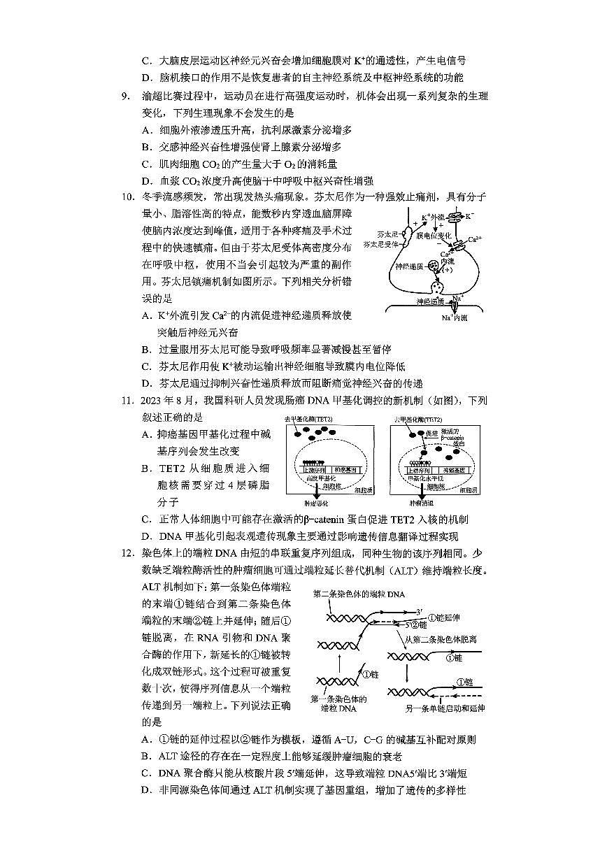 生物-重庆市普通高中学业水平选择性考试2026年高考模拟调研卷（一）试卷及答案第3页