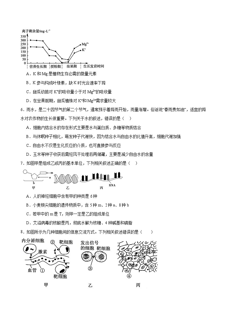 湖南省邵阳市重点高中2025-2026学年高一上学期1月诊断检测试题 生物(含答案）第2页