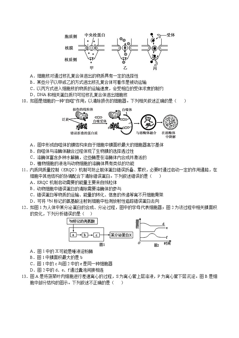 江西省九江市重点高中2025-2026学年高一上学期12月月考试题 生物(含答案）第3页