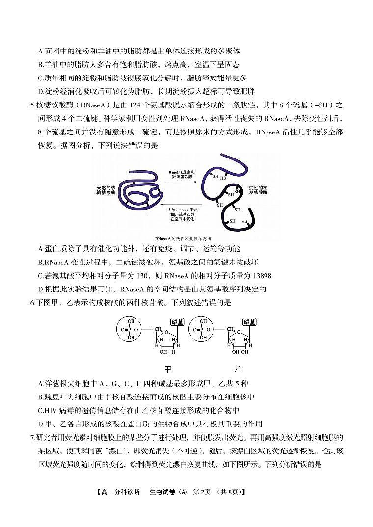 安徽省十所名校2025-2026学年高一上学期12月月考试题 生物(含答案）第2页
