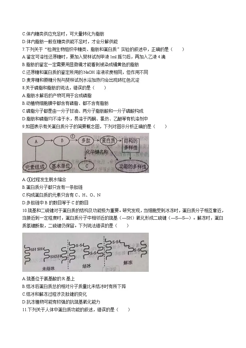 河北省石家庄市重点高中2025-2026学年高一上学期12月阶段测试 生物（含答案）第2页