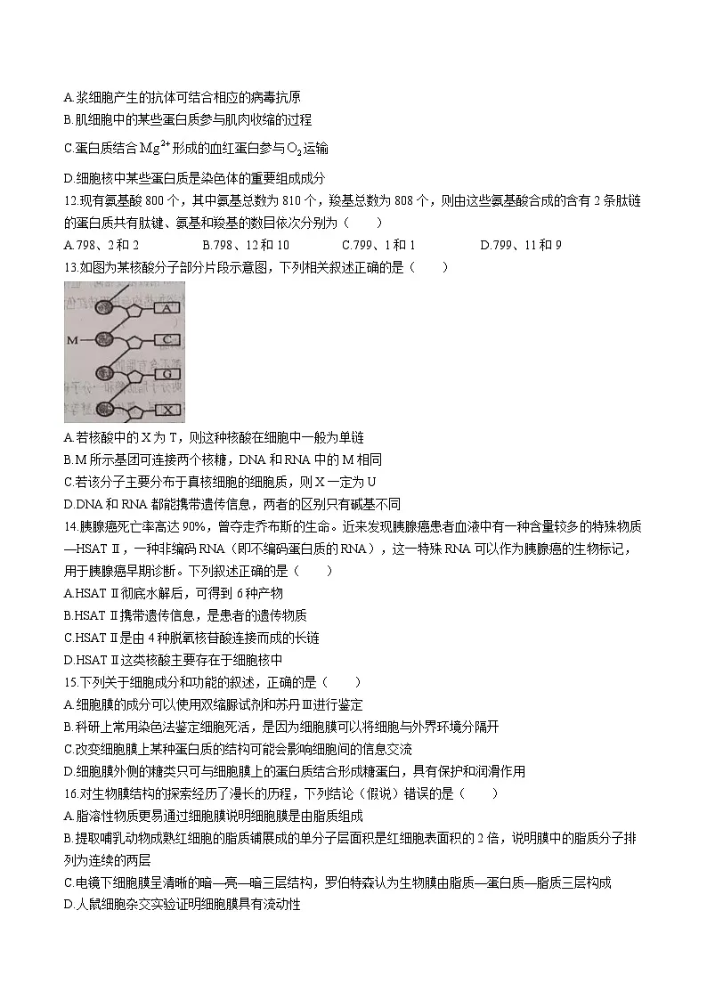 河北省石家庄市重点高中2025-2026学年高一上学期12月阶段测试 生物（含答案）第3页