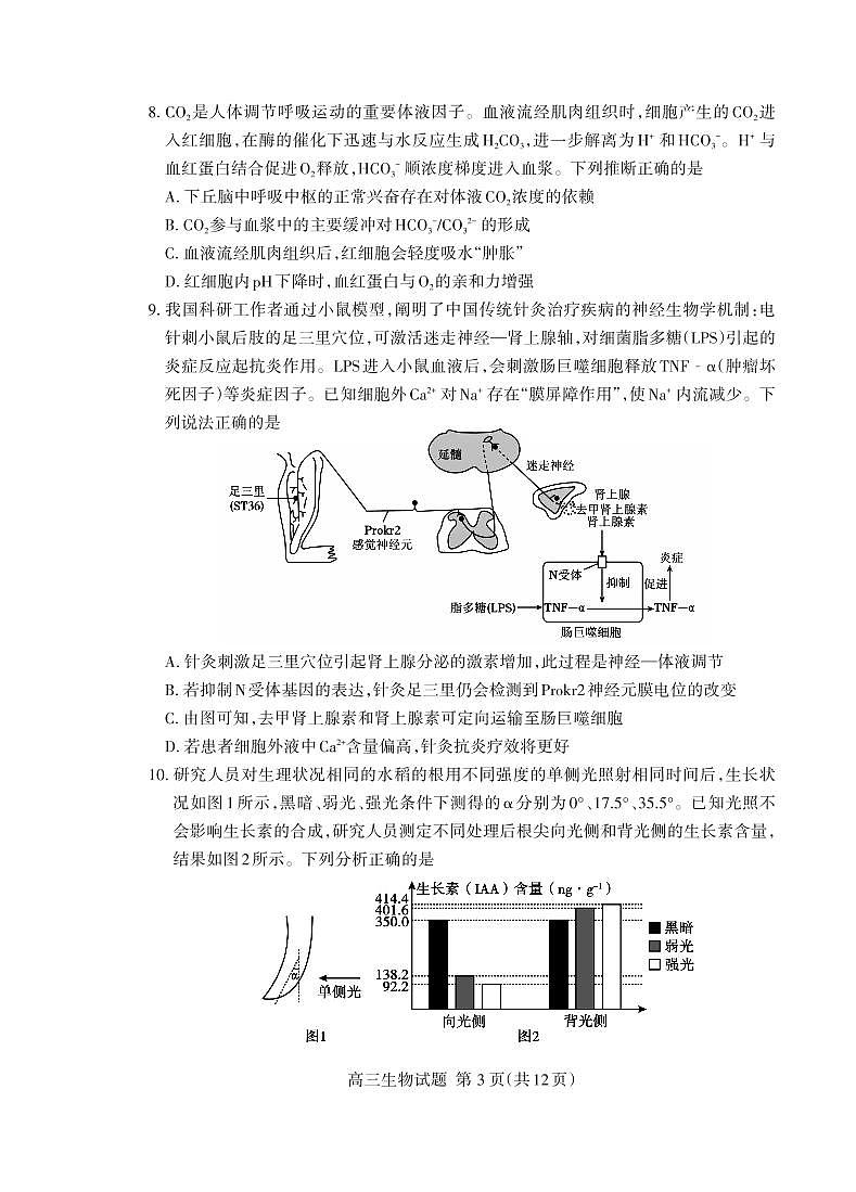 泰安市2026届高三上学期1月期末考试生物+答案第3页