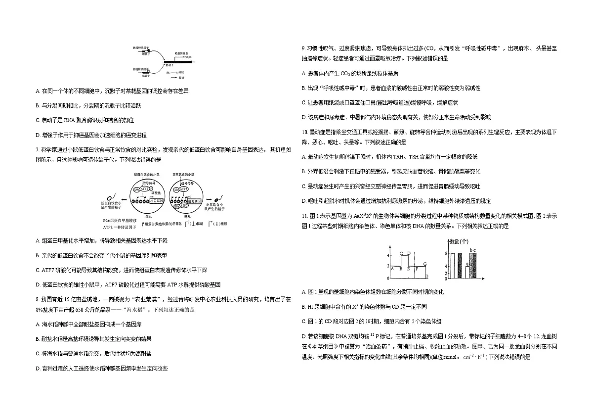 福建省厦门外国语学校2026届高三上学期12月月考生物试卷（Word版附答案）第2页