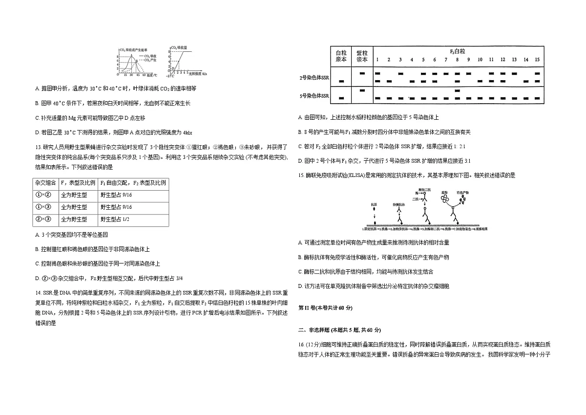 福建省厦门外国语学校2026届高三上学期12月月考生物试卷（Word版附答案）第3页