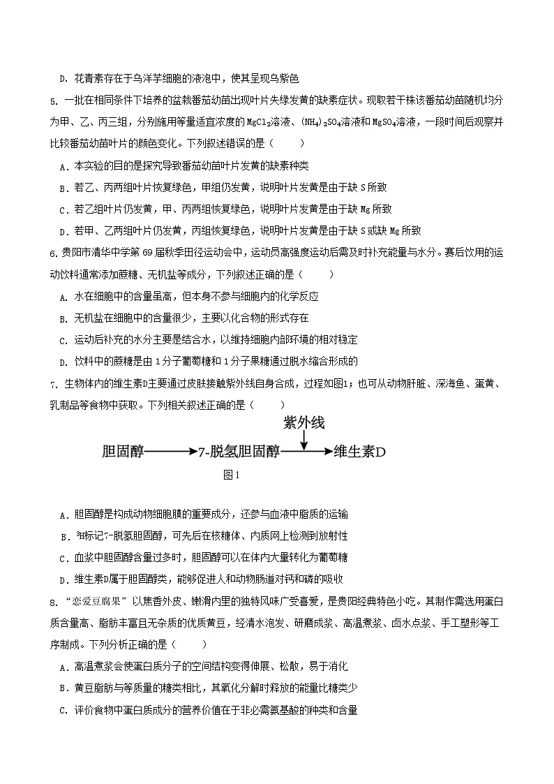 贵阳市清华中学2025-2026学年高一上学期12月月考生物试卷（Word版附答案）第2页