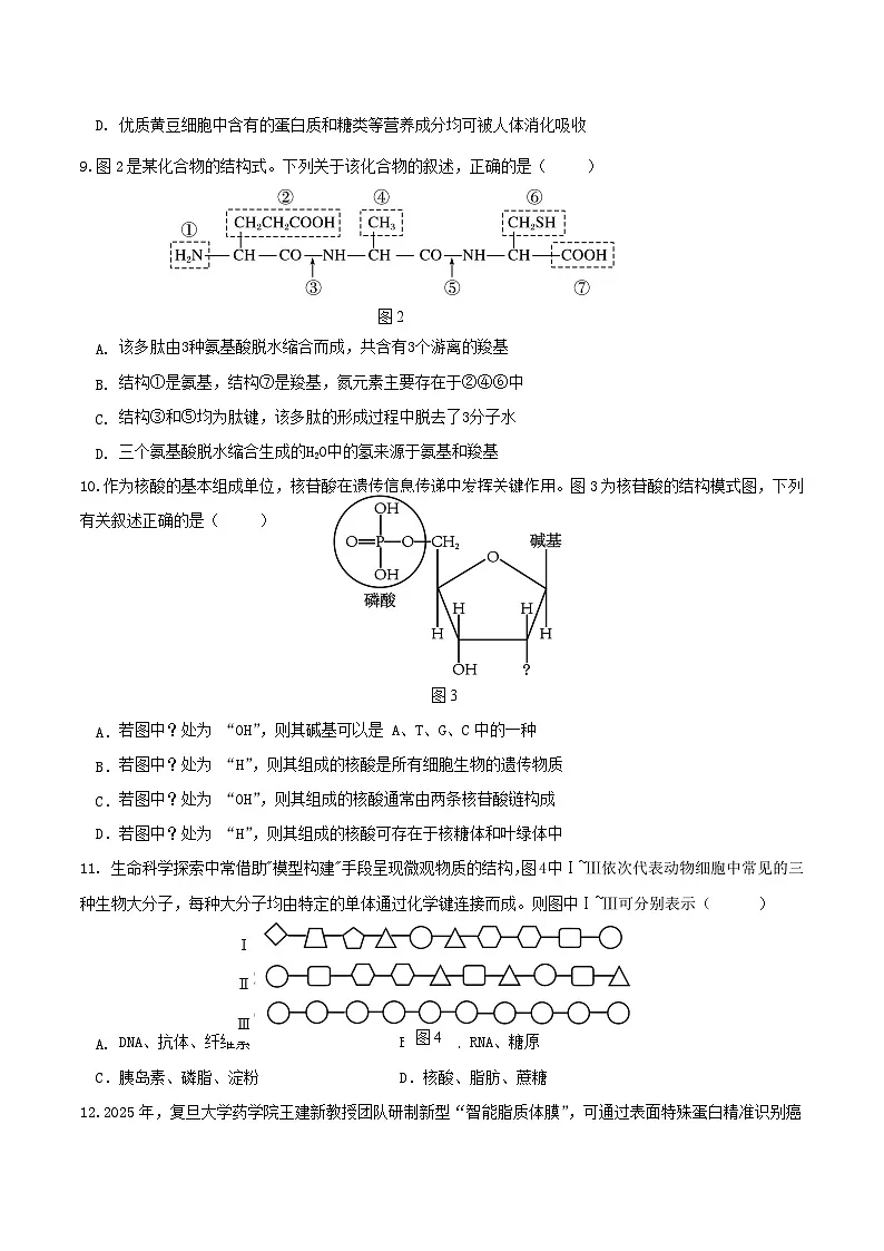 贵阳市清华中学2025-2026学年高一上学期12月月考生物试卷（Word版附答案）第3页