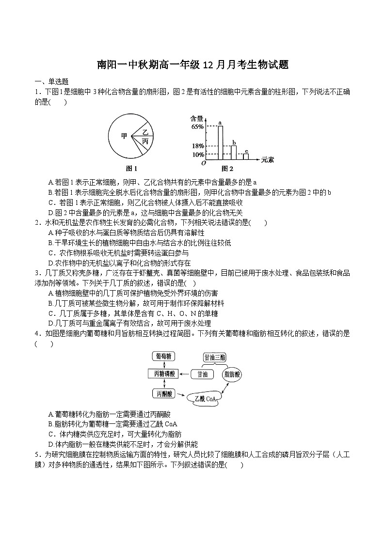 河南省南阳市第一中学2025-2026学年高一上学期12月月考生物试卷（Word版附答案）第1页