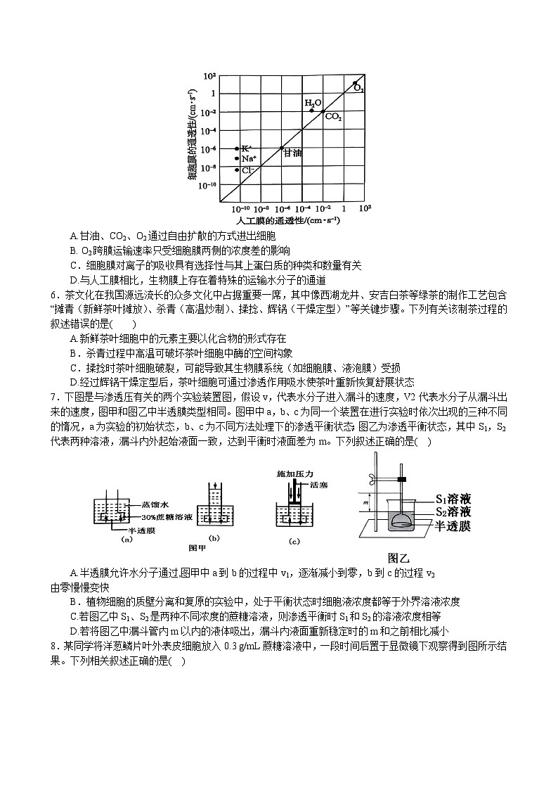 河南省南阳市第一中学2025-2026学年高一上学期12月月考生物试卷（Word版附答案）第2页