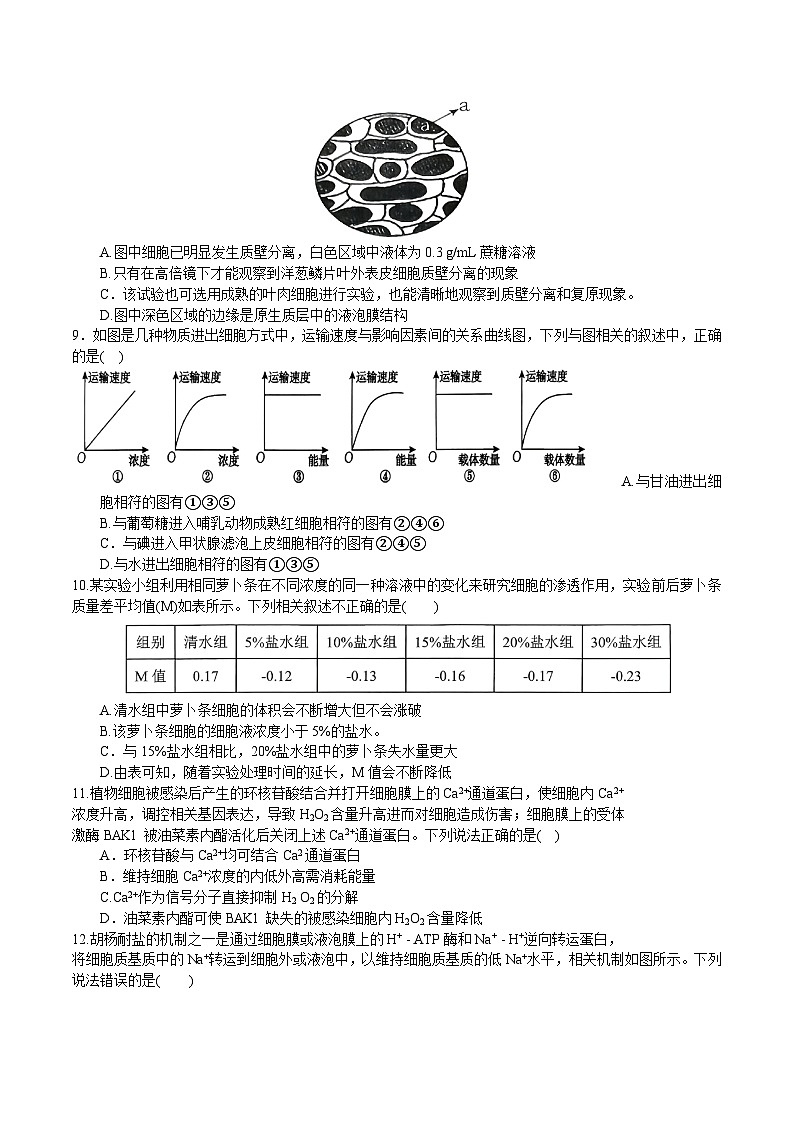 河南省南阳市第一中学2025-2026学年高一上学期12月月考生物试卷（Word版附答案）第3页